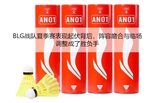BLG战队夏季赛表现起伏背后，阵容磨合与临场调整成了胜负手